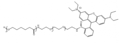 PCL-PEG-RB；聚己内酯聚乙二醇罗丹明