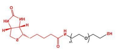 SH-PEG-Biotin；Biotin-PEG-SH；巯基聚乙二醇生物素