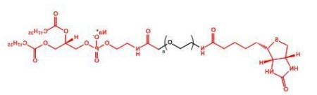 Biotin-PEG-DSPE； DSPE-PEG-Biotin；生物素聚乙二醇磷脂