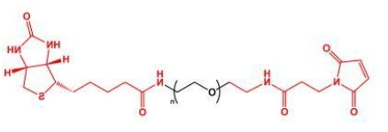 MAL-PEG-Biotin； Biotin-PEG-MAL；马来酰亚胺聚乙二醇生物素