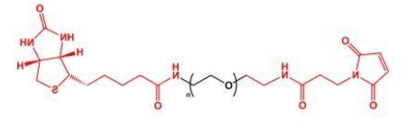 MAL-PEG-Biotin Biotin-PEG-MAL 马来酰亚胺聚乙二醇生物素