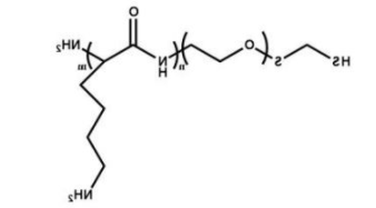 HS-PEG-PLL；巯基聚乙二醇聚赖氨酸；Polylysine-PEG-Thiol