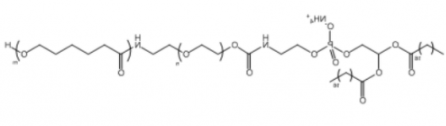 PCL-PEG-DSPE；聚己内酯聚乙二醇磷脂