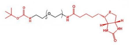 Biotin-PEG-NH-Boc	生物素聚乙二醇叔丁氧羰基