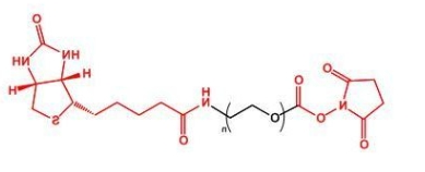 NHS-PEG-Biotin；活性酯聚乙二醇生物素