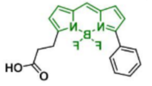 BDP R6G carboxylic acid，174881-57-3