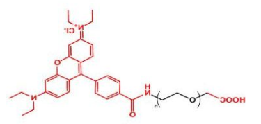 Rhodamine-PEG-COOH；罗丹明聚乙二醇羧基；RB-PEG-COOH