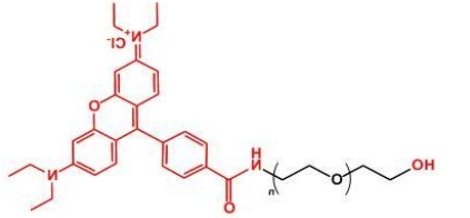 Rhodamine-PEG-OH；罗丹明聚乙二醇羟基