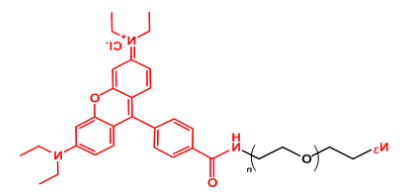 Rhodamine-PEG-N3；罗丹明聚乙二醇叠氮；N3-PEG-Rhodamine