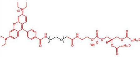Rhodamine-PEG-DSPE；罗丹明聚乙二醇磷脂；磷脂聚乙二醇罗丹明