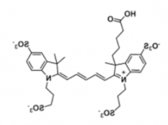 CAS	2090339-69-6；Alexa Fluor 647 carboxylic acid