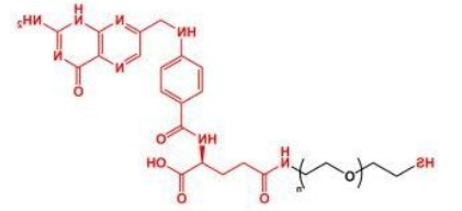 FA-PEG-SH SH-PEG-FA SH-PEG-Folate 叶酸聚乙二醇巯基