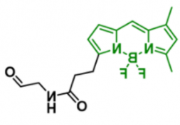 BODIPY aminoacetaldehyde，247069-94-9，硼二吡咯-氨基乙醛