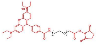 RB-PEG-NHS，罗丹明聚乙二醇活性酯 ，Rhodamine-PEG-NHS