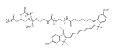 Cy7-PEG-DSPE，Cy7-聚乙二醇-二硬脂酰基磷脂酰乙醇胺