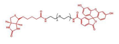 FITC-PEG-Biotin；荧光素聚乙二醇生物素；Biotin-PEG-FITC