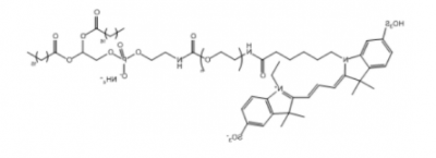 Cy3-PEG-DSPE；Cy3-聚乙二醇-二硬脂酰基磷脂酰乙醇胺