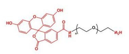 FITC-PEG-NH2；荧光素聚乙二醇氨基；Amine-PEG-FITC