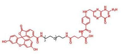 Folate-PEG-FITC；FITC-PEG-FA；荧光素聚乙二醇叶酸 