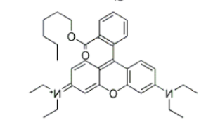 R6; 77933-92-1；罗丹明B己酸酯高氯酸盐