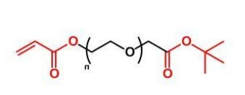 COOtBu-PEG-AC； COOtBu-PEG-Acrylate；叔丁酯聚乙二醇丙烯酸酯