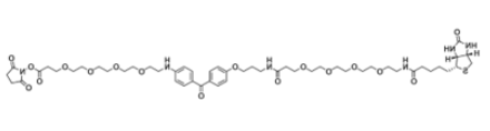 UV-Tracer Biotin NHS ester；1628029-01-5；紫外追踪-生物素-琥珀酰亚胺酯