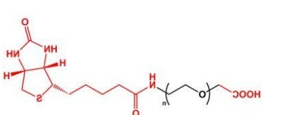 COOH-PEG-Biotin；羧基聚乙二醇生物素