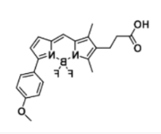BODIPY TMR carboxylic acid, 287384-28-5
