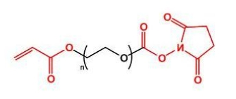 NHS-PEG-Acrylate； AC-PEG-NHS；活性酯聚乙二醇丙烯酸酯 