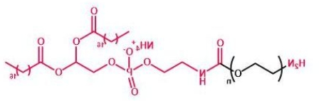 NH2-PEG-DSPE； DSPE-PEG-Amine；磷脂聚乙二醇氨基