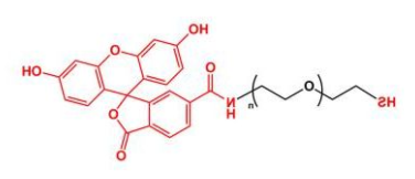 FITC-PEG-SH；荧光素聚乙二醇巯基 ；Thiol-PEG-FITC