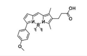 BODIPY TMR carboxylic acid, 287384-28-5