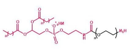 DSPE-PEG-NH2；磷脂聚乙二醇氨基；DSPE-PEG-Amine