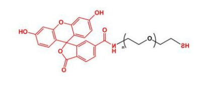 FITC-PEG-SH；荧光素聚乙二醇巯基 ；Thiol-PEG-FITC