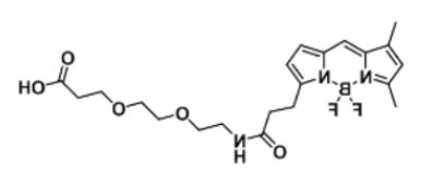 BODIPY FL-PEG2-COOH
