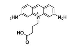 ATTO 465 acid；1156537-96-0