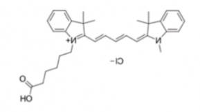 Cyanine5 carboxylic acid/Cy5 COOH(Methyl)；1032678-07-1；脂性Cy5-羧基(Me)