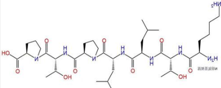 PTP（KTLLPTP）；胰腺癌靶向肽的储存条件