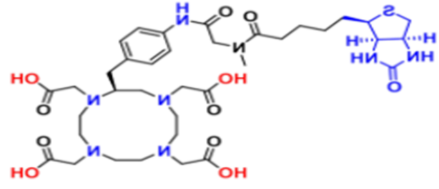 CAS 180978-54-5;DOTA-p-NH2-Bn-biotin的介绍 CAS 180978-54-5;DOTA-p-NH2-Bn-biotin的介绍