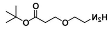 Amine-PEG1-COOtBu，1260092-46-3，3-(2-氨基乙氧基)丙酸叔丁酯