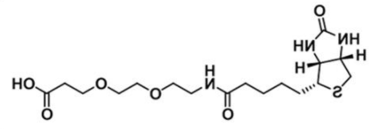 Biotin-PEG2-Acid；1365655-89-5；生物素-二聚乙二醇-羧基