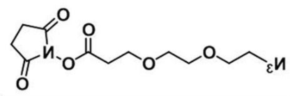 Azide-PEG1-NHS ester；1807530-06-8；叠氮PEG琥珀酰亚胺酯