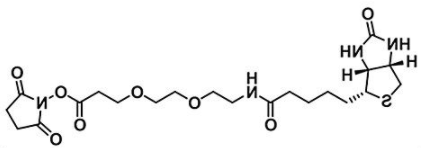 Biotin-PEG2-NHS ester；596820-83-6；生物素二聚乙二醇活性酯