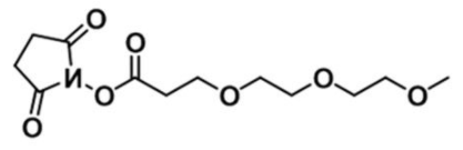mPEG3-NHS ester；876746-59-7；甲氧基-三聚乙二醇-活性酯