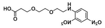 DNP-PEG2-Acid；1353011-89-8；DNP-PEG2-COOH