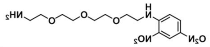 DNP-PEG3-NH2的分子量