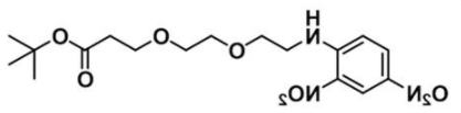 COOtBu-PEG-DNP；DNP-PEG2-t-butyl ester
