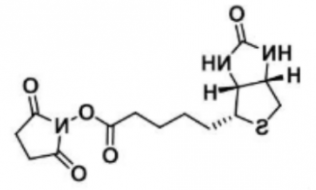 Biotin-NHS；35013-72-0；生物素-N-羟基丁二酰亚胺活化脂