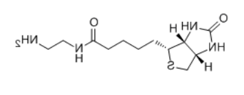 生物素化试剂，用于修饰蛋白质，抗体或其他生物小分子。