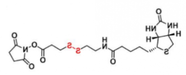 Biotin-SS-NHS；生物素-二硫-活性酯；122266-55-1